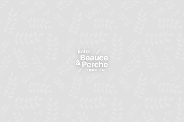 Assistance clientèle du casino Ruby Vegas : Disponibilité et réactivité expliquées