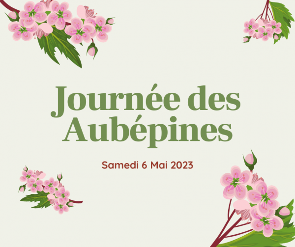 La journée des aubépines