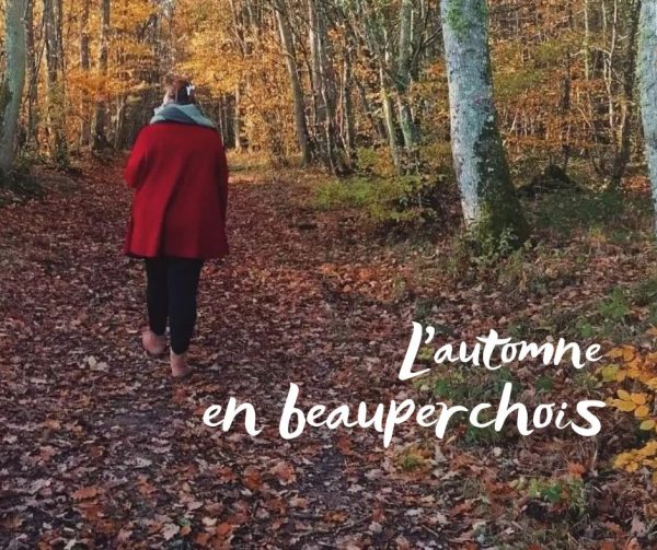 L’automne en beauperchois