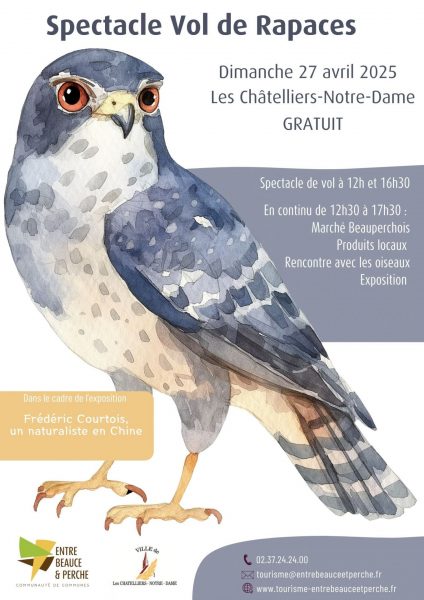 Le Vol des Rapaces